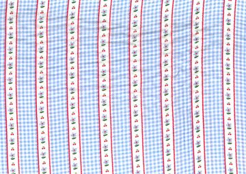 Double Gauze Check Blue